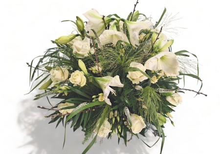 Biedermeier Amaryllis